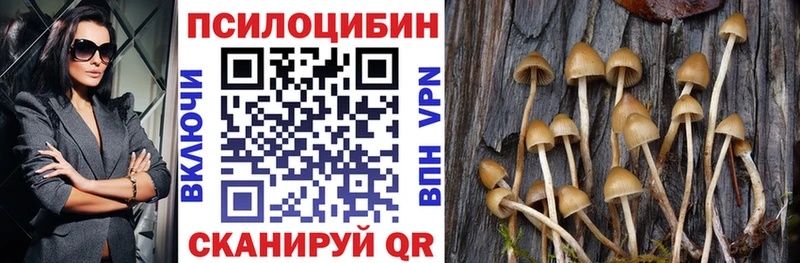 Купить закладки  Новоузенск  Псилоцибиновые грибы Cubensis 